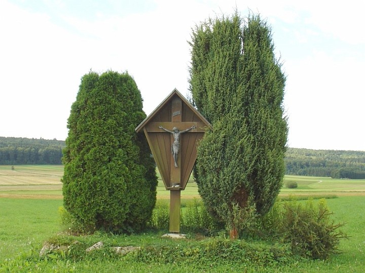Kreuz_05_im_Ried.JPG