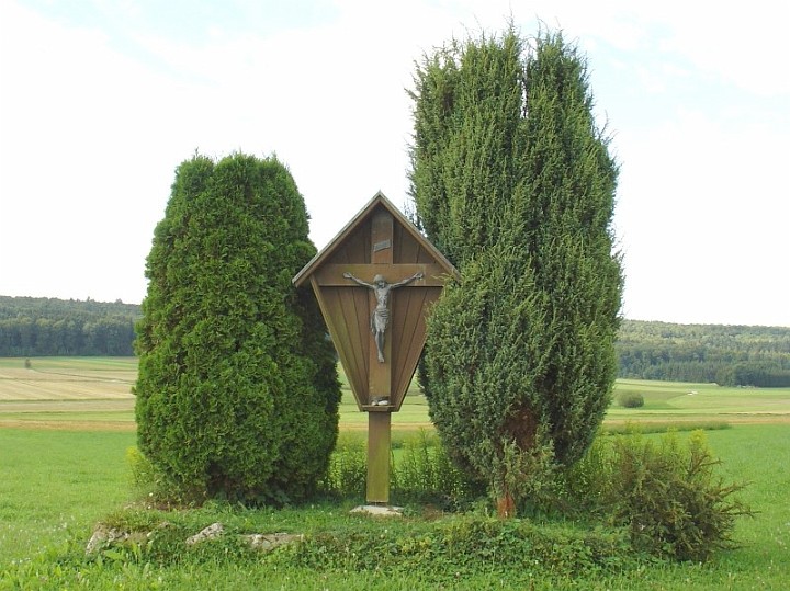 Kreuz_05_im_Ried.JPG