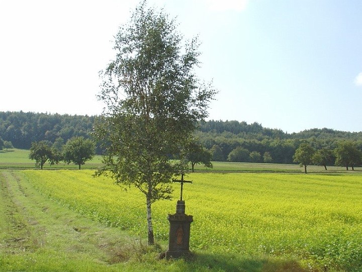 Kreuz_17_Richtung_Ehingen.JPG