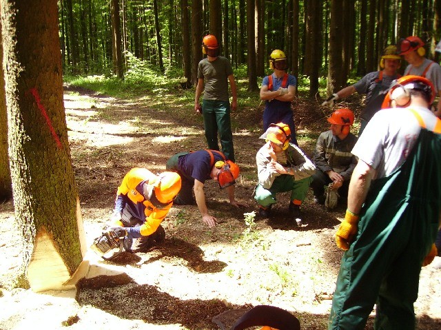 20080602_Motorsaegenlehrgang_01.JPG