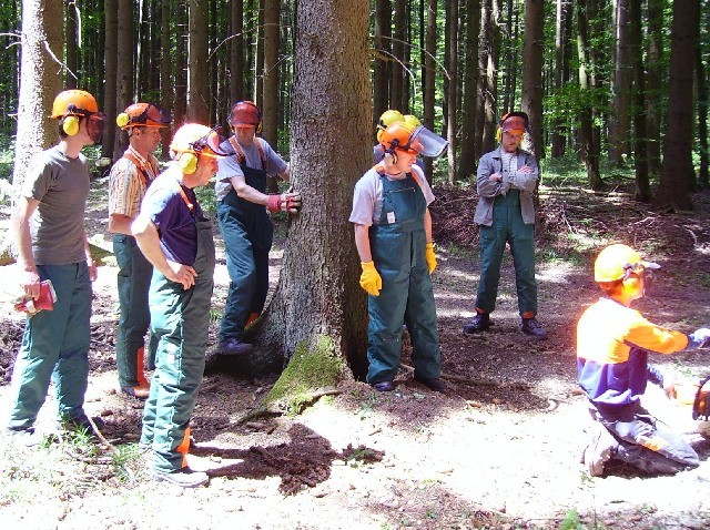 20080602_Motorsaegenlehrgang_02.JPG