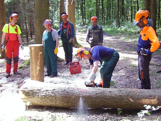 20080602_Motorsaegenlehrgang_05.JPG