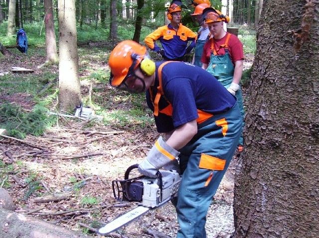 20080602_Motorsaegenlehrgang_06.JPG