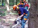 20080602_Motorsaegenlehrgang_06