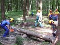20080602_Motorsaegenlehrgang_07