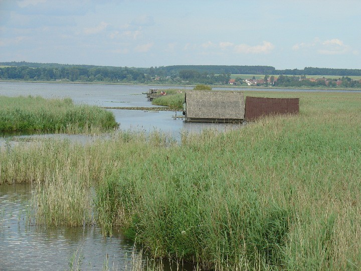 2008-06-22_Fuehrung_Federsee_08.jpg