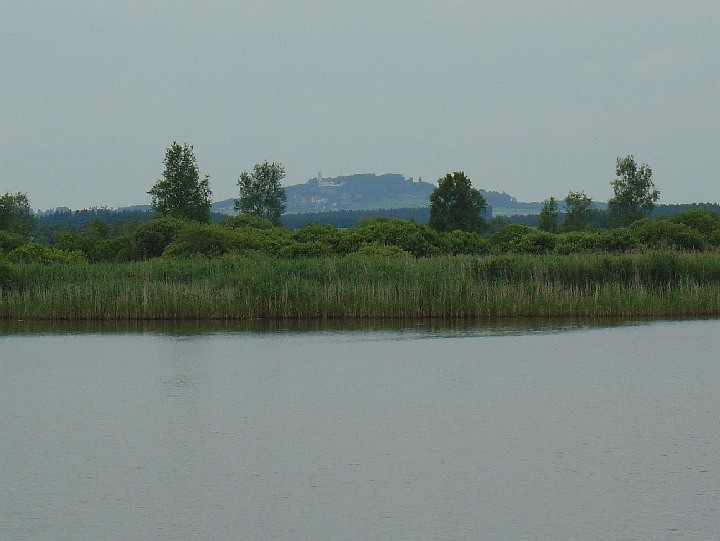 2008-06-22_Fuehrung_Federsee_12.jpg