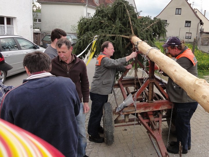 20110430_Maibaum_03.JPG