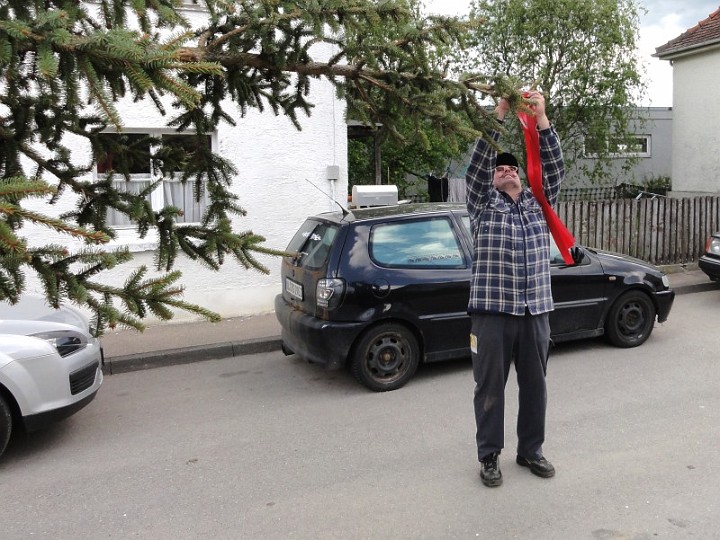 20110430_Maibaum_06.JPG