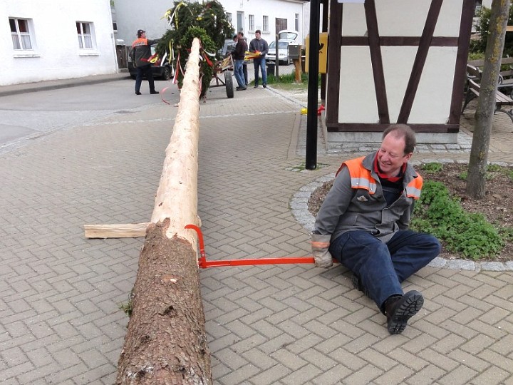 20110430_Maibaum_07.JPG