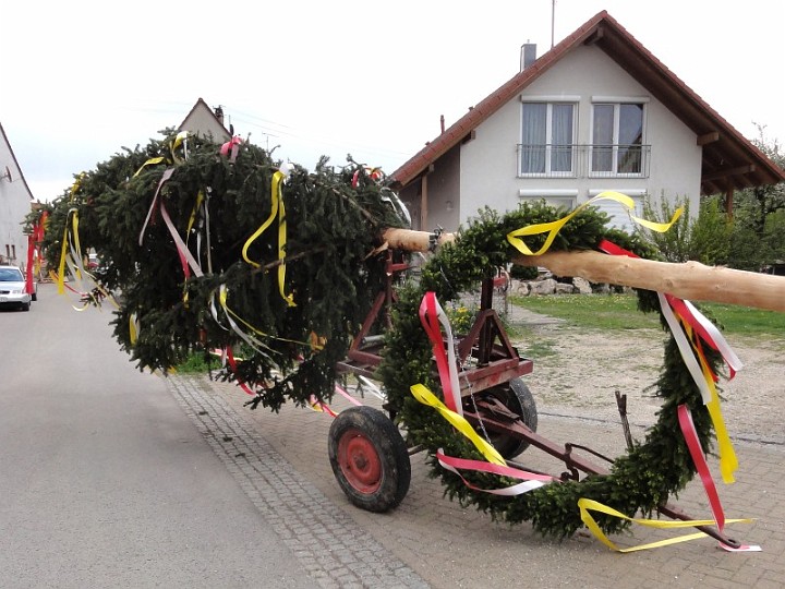 20110430_Maibaum_08.JPG