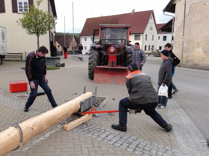 20110430_Maibaum_09.JPG