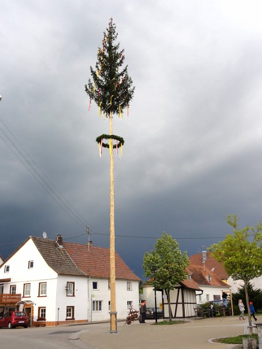 20110430_Maibaum_24.JPG