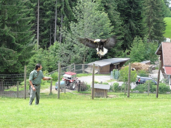 20120615_Kameradschaftsausflug_43.JPG