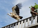 20120615_Kameradschaftsausflug_25