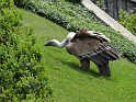 20120615_Kameradschaftsausflug_41