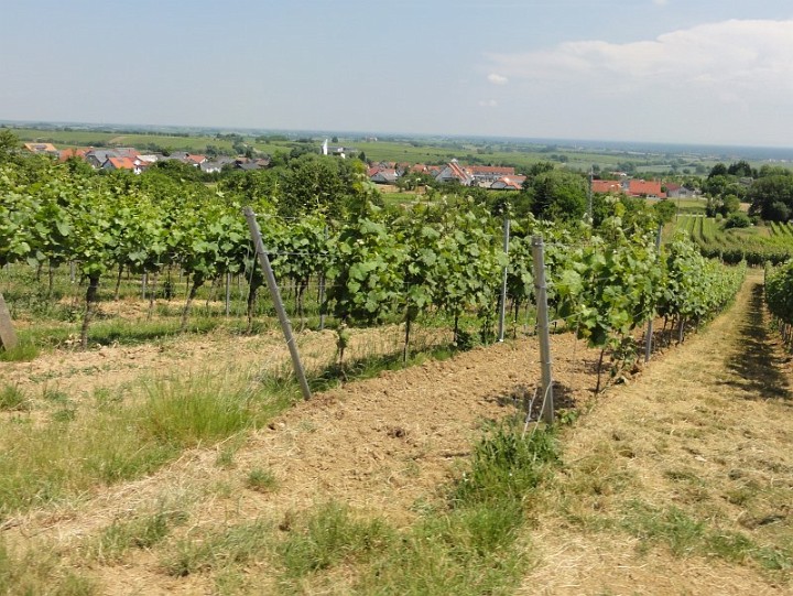 20150612_Kameradschaftsausflug_13.JPG