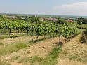 20150612_Kameradschaftsausflug_13